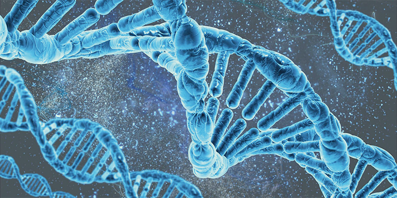 Affinity Biosciences