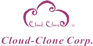 Cloud-Clone