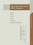 Other Reversed Phase HPLC Columns