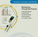SGE-MS-Solutions