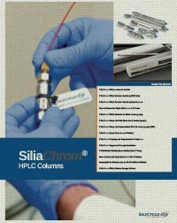 SiliaChrom HPLC Columns