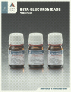 Beta-Glucuronidase